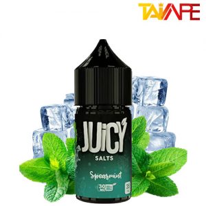 سالت نستی جویسی نعنا یخ NASTY JUICY SPEARMINT SALT